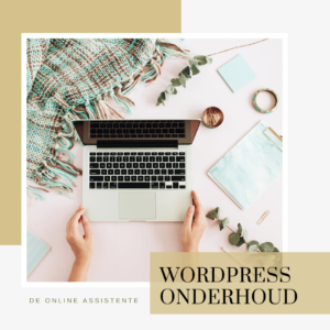 WordPress Onderhoud Gold
